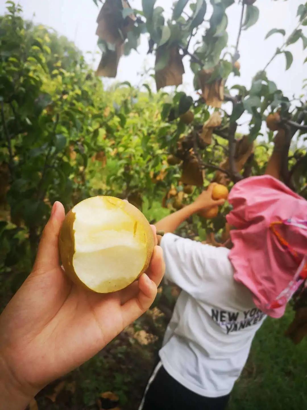 ���ֹ���F66��(�й���)�ٷ���վ