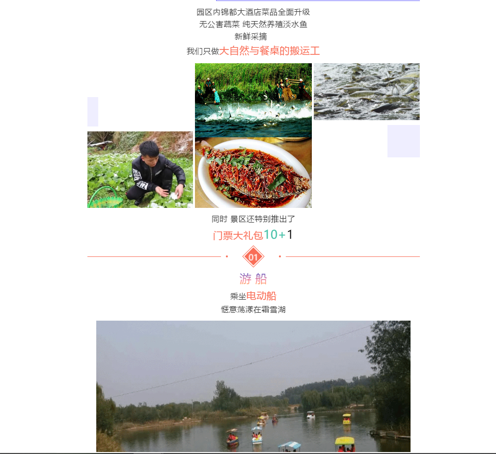 ���ֹ���F66��(�й���)�ٷ���վ