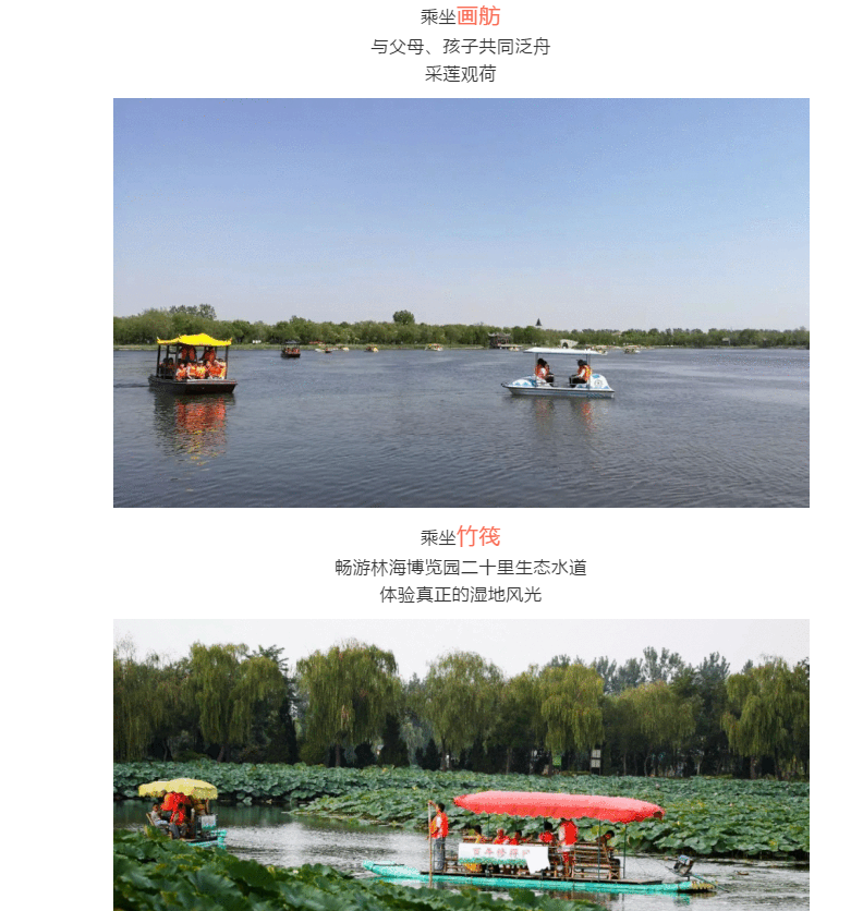 ���ֹ���F66��(�й���)�ٷ���վ