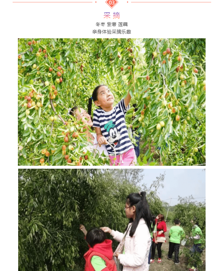 ���ֹ���F66��(�й���)�ٷ���վ