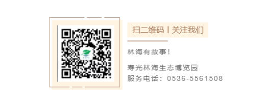 ���ֹ���F66��(�й���)�ٷ���վ