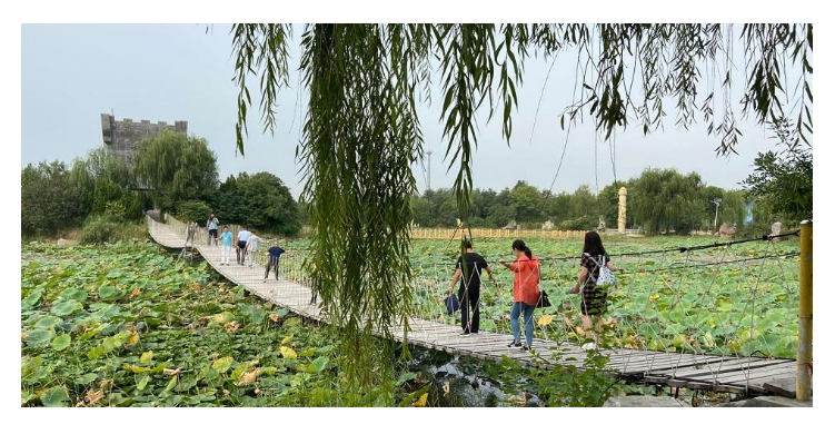 ���ֹ���F66��(�й���)�ٷ���վ