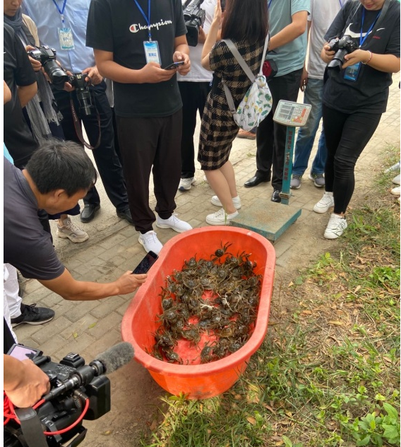 ���ֹ���F66��(�й���)�ٷ���վ