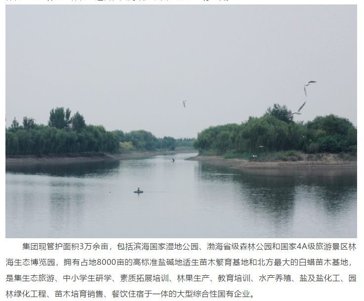 ���ֹ���F66��(�й���)�ٷ���վ