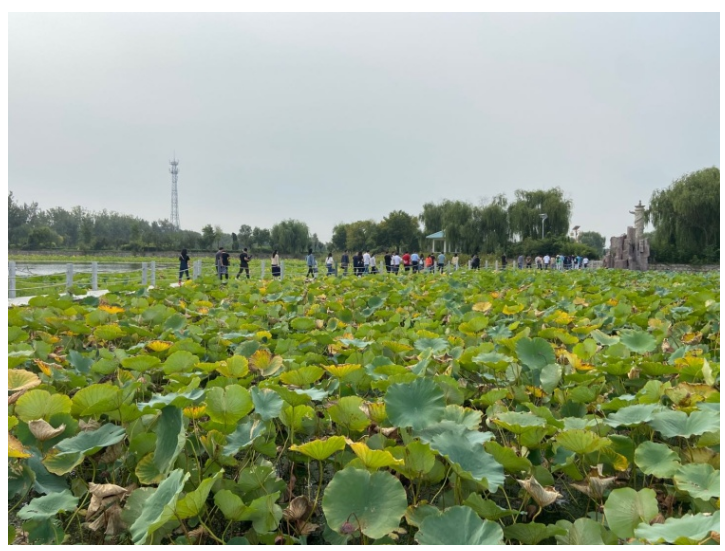 ���ֹ���F66��(�й���)�ٷ���վ