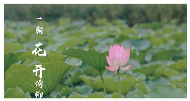 ���ֹ���F66��(�й���)�ٷ���վ