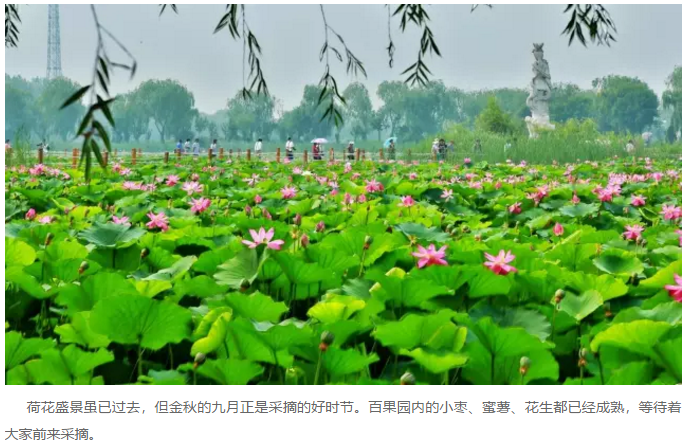 ���ֹ���F66��(�й���)�ٷ���վ