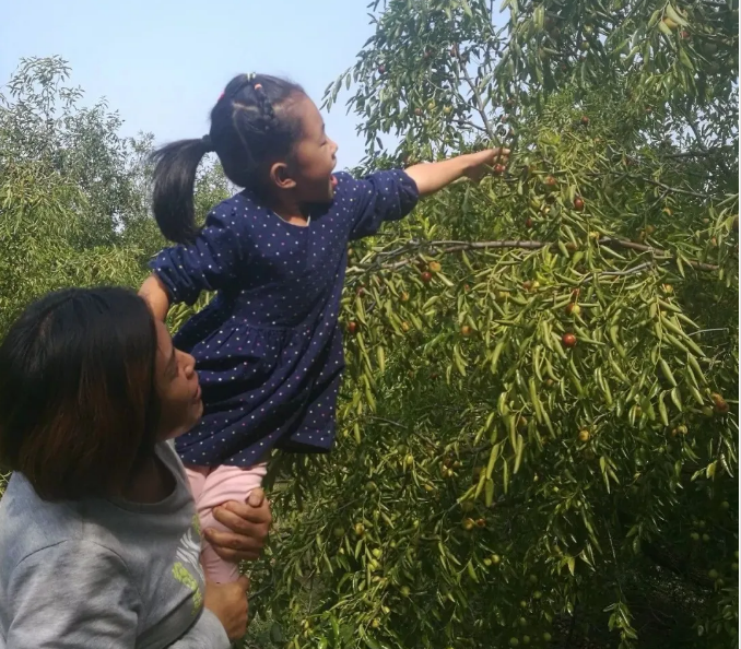 ���ֹ���F66��(�й���)�ٷ���վ