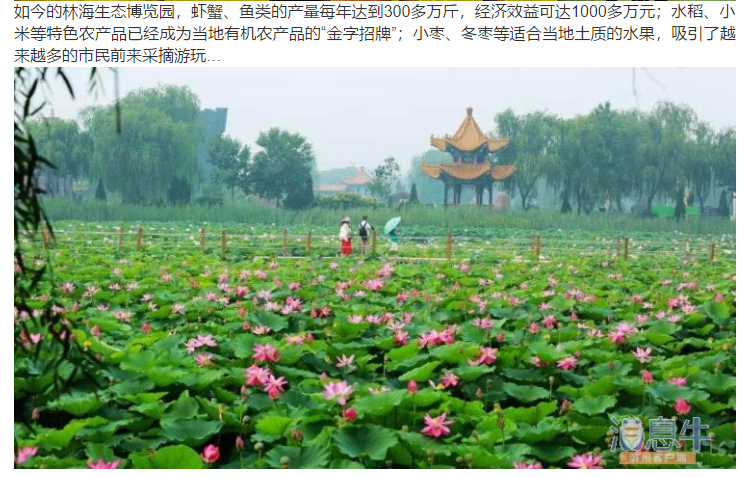 ���ֹ���F66��(�й���)�ٷ���վ