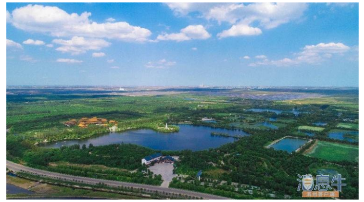 ���ֹ���F66��(�й���)�ٷ���վ