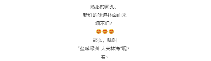 ���ֹ���F66��(�й���)�ٷ���վ