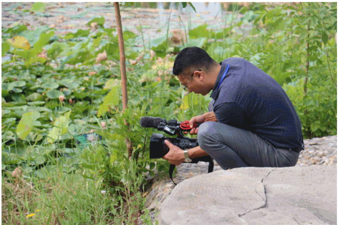 ���ֹ���F66��(�й���)�ٷ���վ