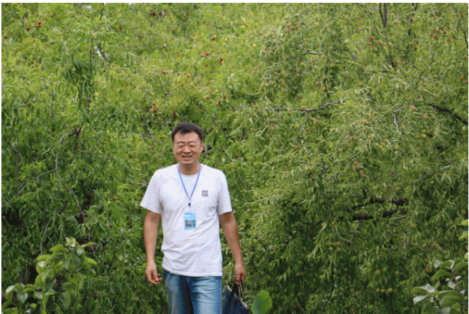 ���ֹ���F66��(�й���)�ٷ���վ