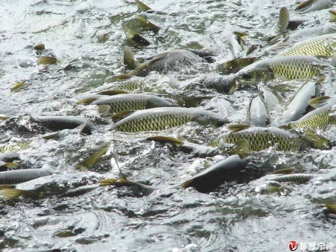 ���ֹ���F66��(�й���)�ٷ���վ