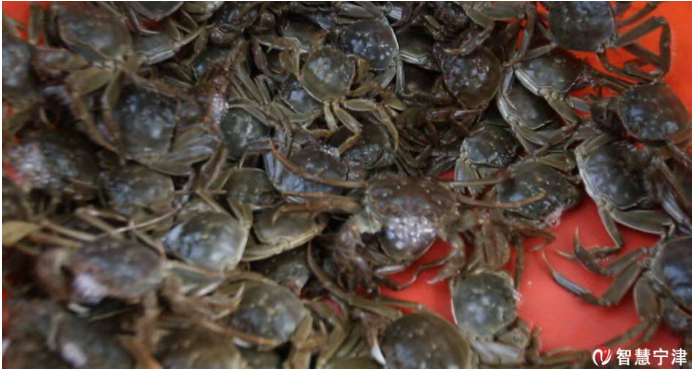 ���ֹ���F66��(�й���)�ٷ���վ