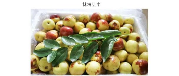 ���ֹ���F66��(�й���)�ٷ���վ