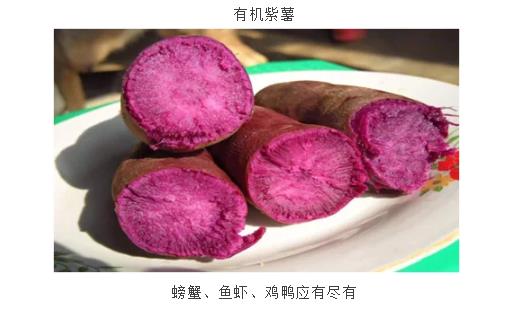 ���ֹ���F66��(�й���)�ٷ���վ