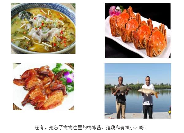 ���ֹ���F66��(�й���)�ٷ���վ