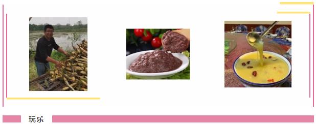 ���ֹ���F66��(�й���)�ٷ���վ