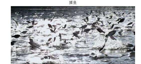 ���ֹ���F66��(�й���)�ٷ���վ