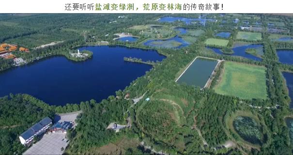 ���ֹ���F66��(�й���)�ٷ���վ