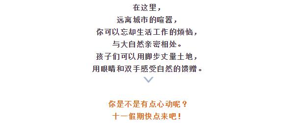 ���ֹ���F66��(�й���)�ٷ���վ