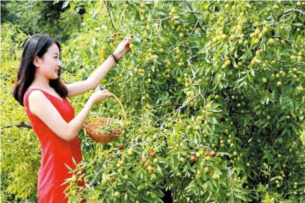 ���ֹ���F66��(�й���)�ٷ���վ