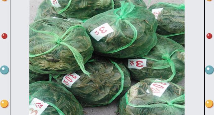 ���ֹ���F66��(�й���)�ٷ���վ