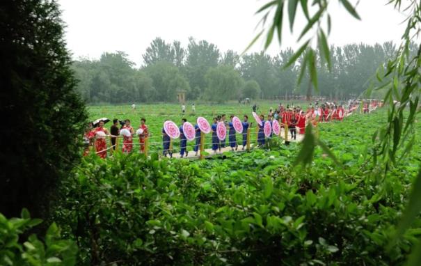 ���ֹ���F66��(�й���)�ٷ���վ