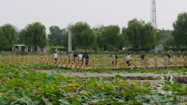 ���ֹ���F66��(�й���)�ٷ���վ