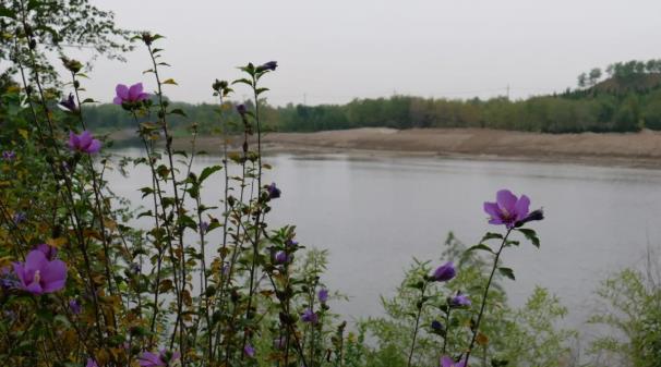 ���ֹ���F66��(�й���)�ٷ���վ