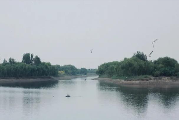 ���ֹ���F66��(�й���)�ٷ���վ