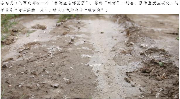 ���ֹ���F66��(�й���)�ٷ���վ