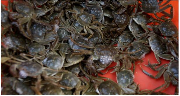 ���ֹ���F66��(�й���)�ٷ���վ