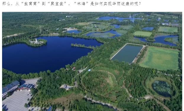 ���ֹ���F66��(�й���)�ٷ���վ