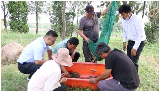 ���ֹ���F66��(�й���)�ٷ���վ