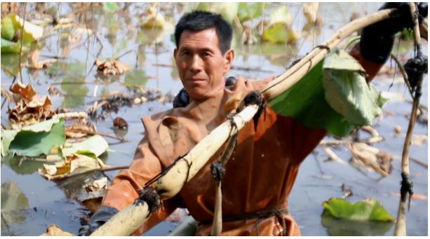 ���ֹ���F66��(�й���)�ٷ���վ