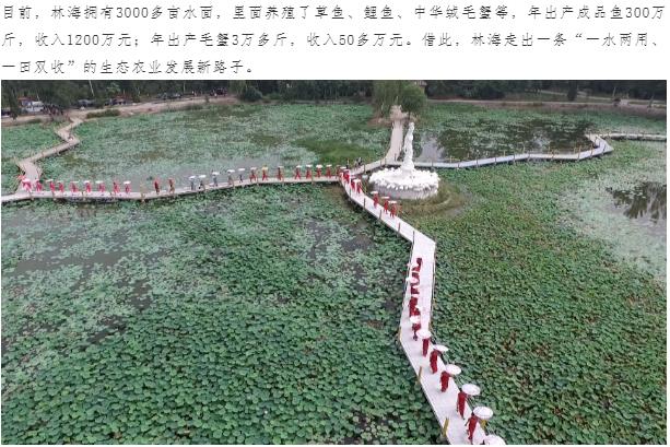 ���ֹ���F66��(�й���)�ٷ���վ