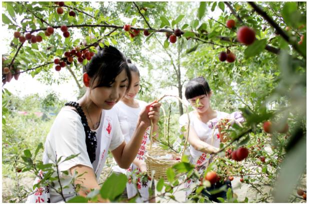 ���ֹ���F66��(�й���)�ٷ���վ