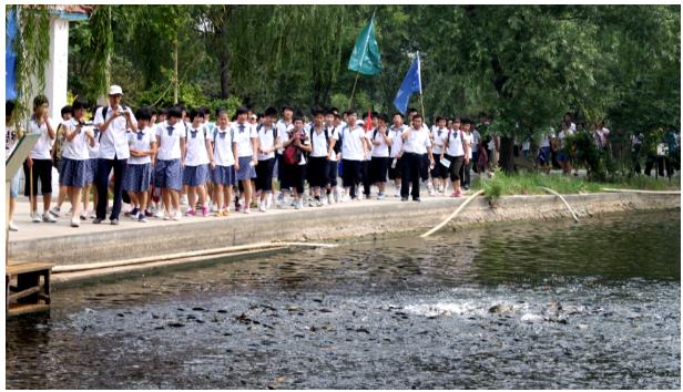 ���ֹ���F66��(�й���)�ٷ���վ