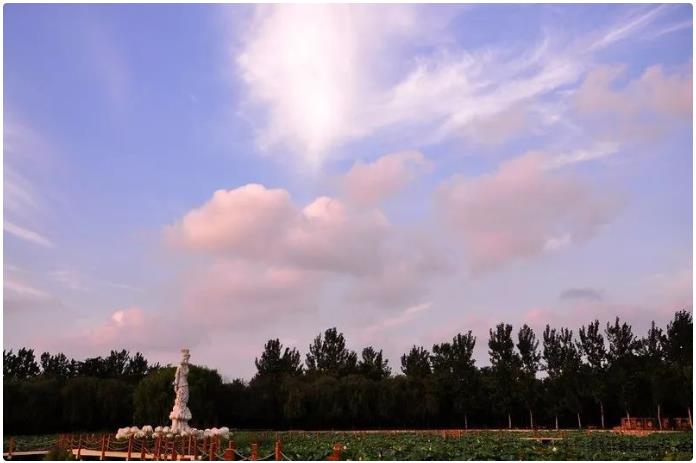 ���ֹ���F66��(�й���)�ٷ���վ