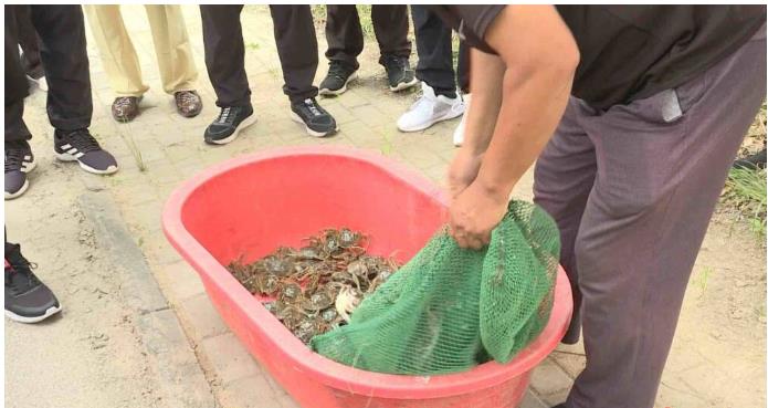 ���ֹ���F66��(�й���)�ٷ���վ