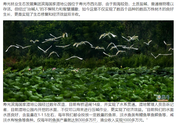 ���ֹ���F66��(�й���)�ٷ���վ