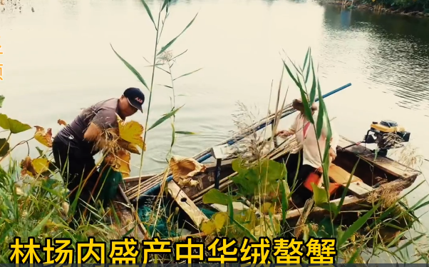 ���ֹ���F66��(�й���)�ٷ���վ