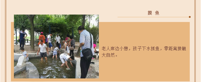 ���ֹ���F66��(�й���)�ٷ���վ