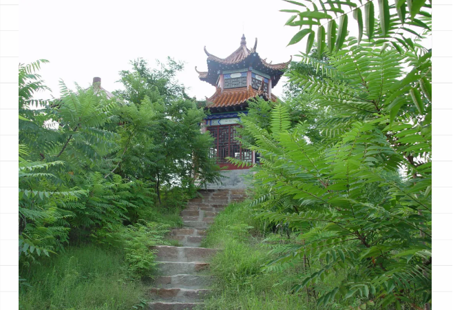 ���ֹ���F66��(�й���)�ٷ���վ