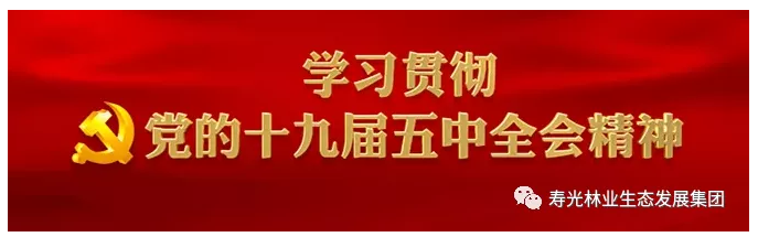 ���ֹ���F66��(�й���)�ٷ���վ