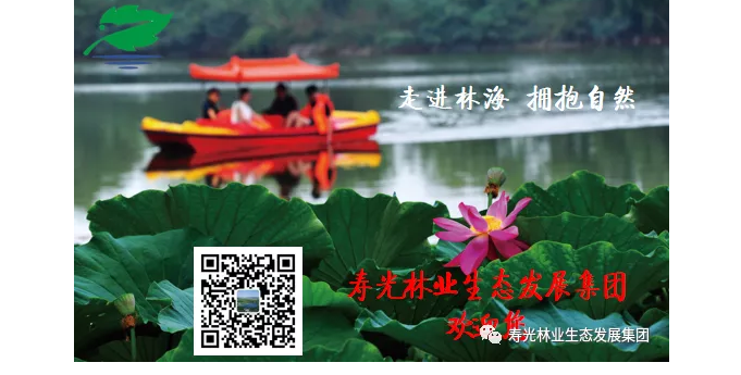 ���ֹ���F66��(�й���)�ٷ���վ