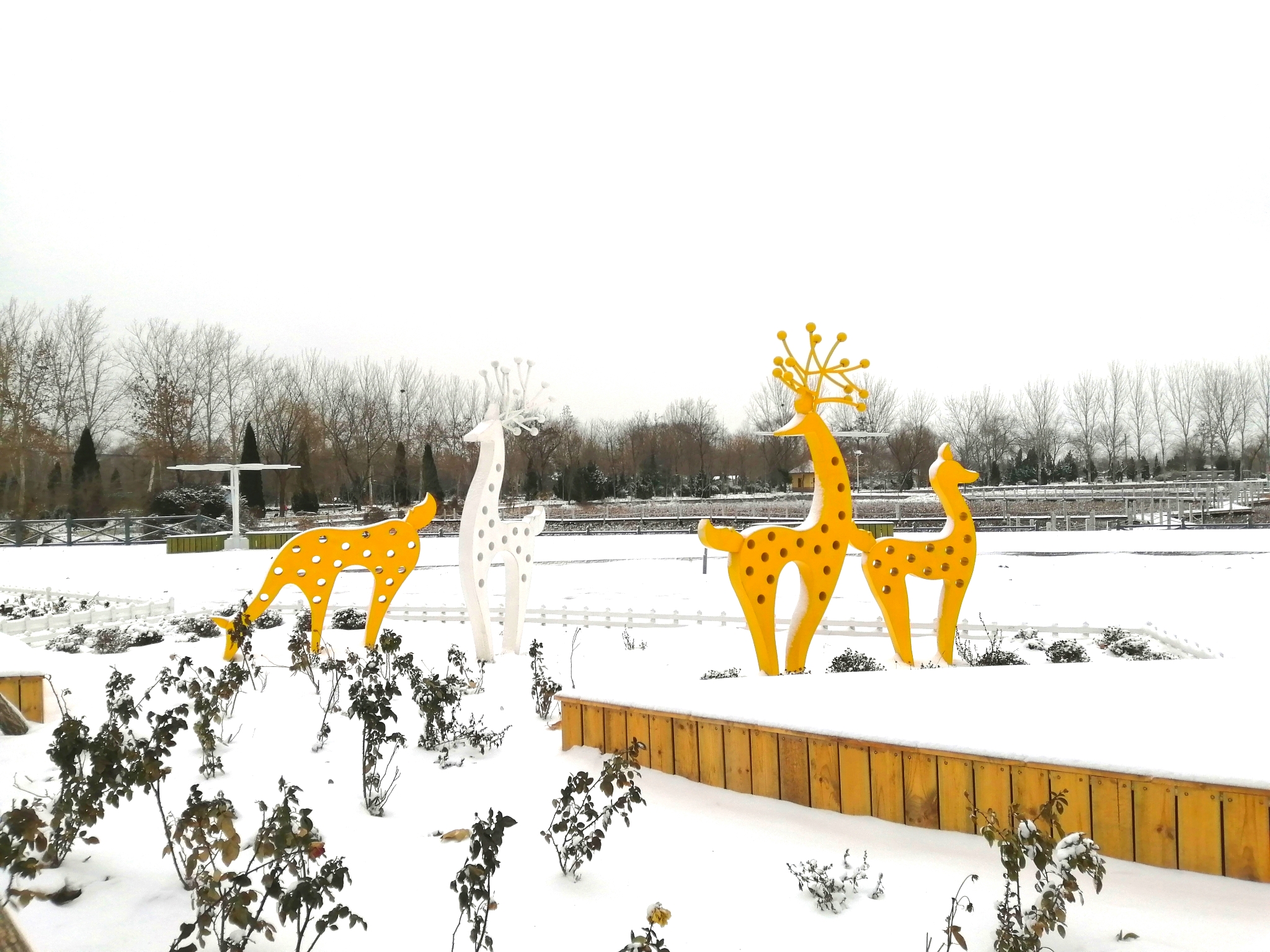 ���ֹ���F66��(�й���)�ٷ���վ