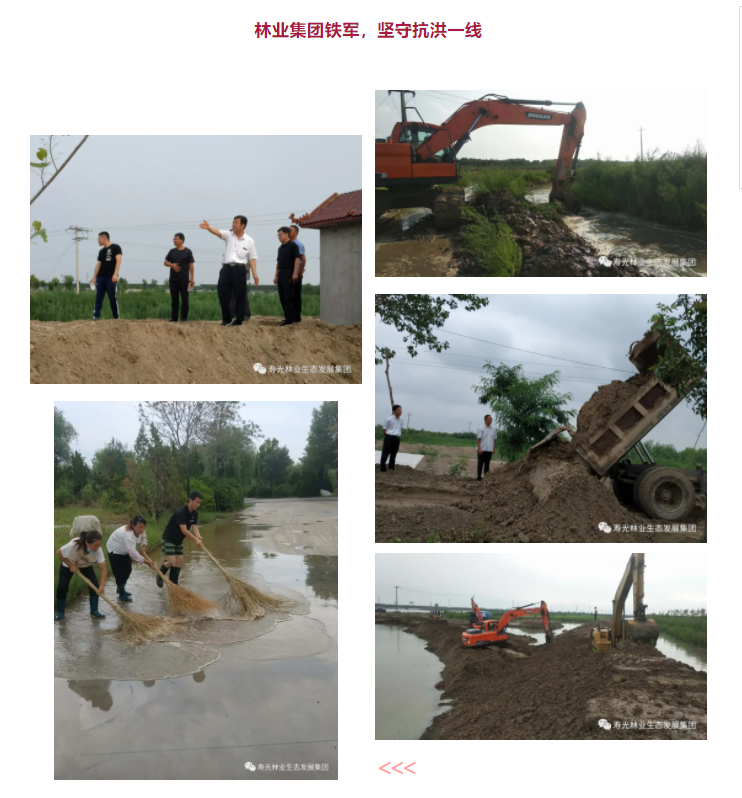 ���ֹ���F66��(�й���)�ٷ���վ